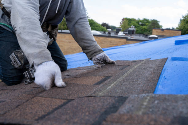 Best Flat Roof Repair Services  in Ellsworth, KS