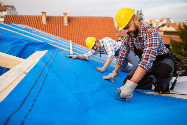 Best Shingle Roofing Installation  in Ellsworth, KS